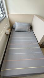 Spottiswoode Park (D2), Apartment #499852421